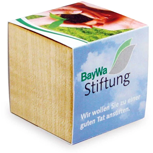 Pflanz-Holz Magnet mit Samen - Gewrzpaprika, 2 Seiten gelasert  (individuell, Holz, Erde, Saatgut, Papier, Magnet, 32g) als Werbeartikel  Auf GIFFITS.de | Art.Nr. 371971